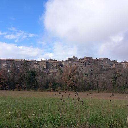 Casa Vacanza In Casale Vicino Orvieto Ficulle Exterior photo
