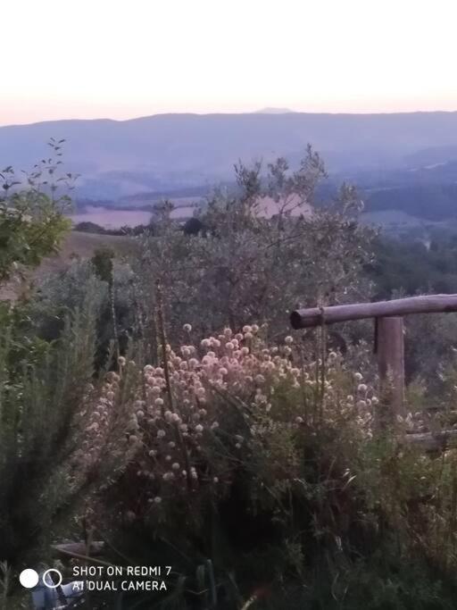 Casa Vacanza In Casale Vicino Orvieto Ficulle Exterior photo